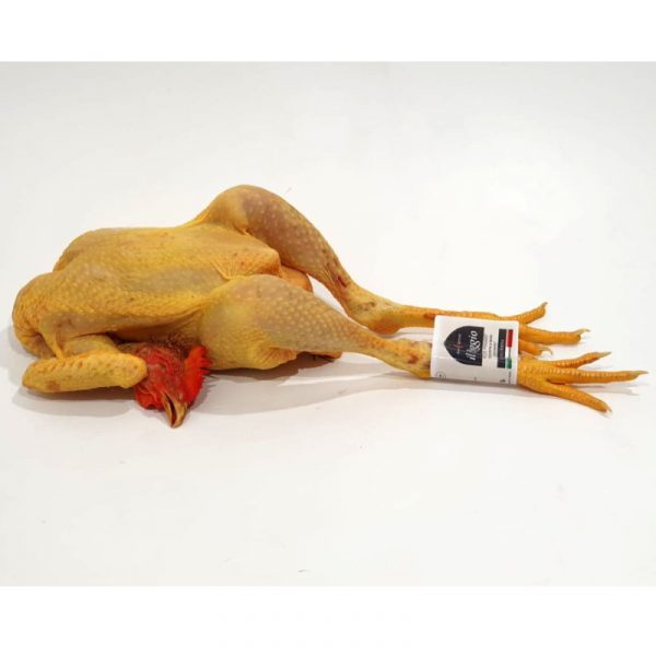 Pollo free range